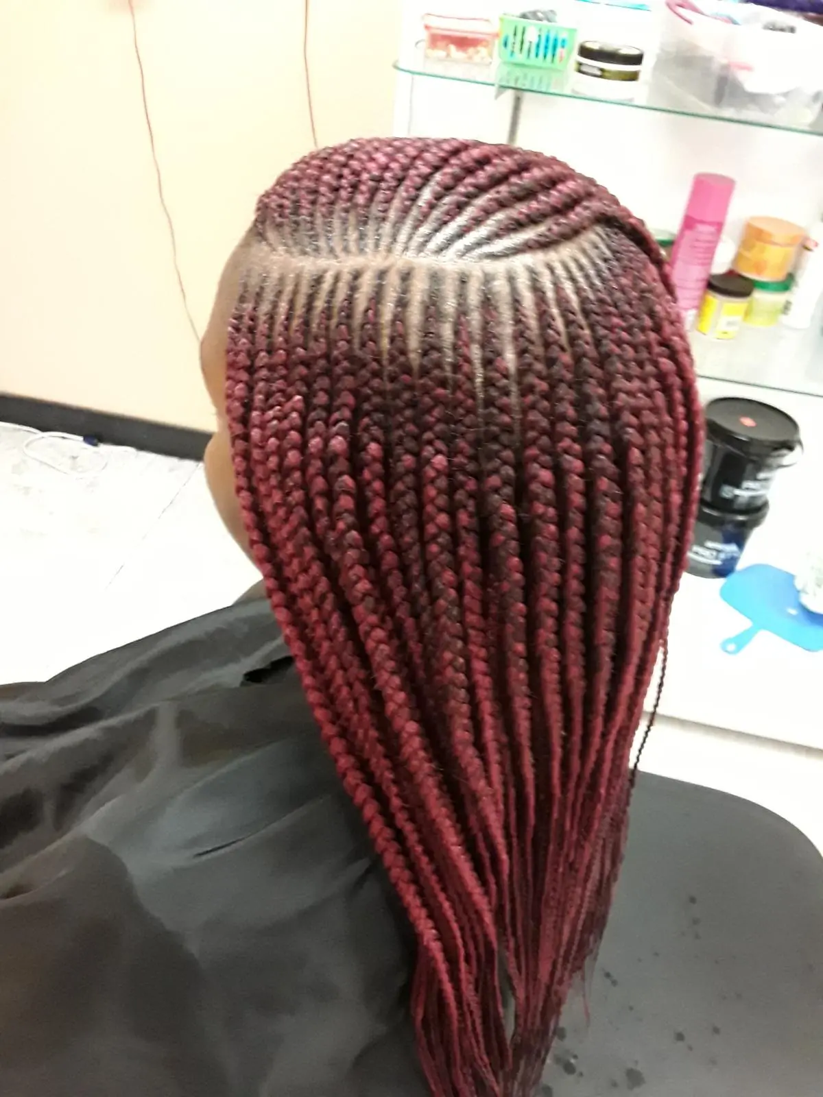 Braids and Locs Hair Style