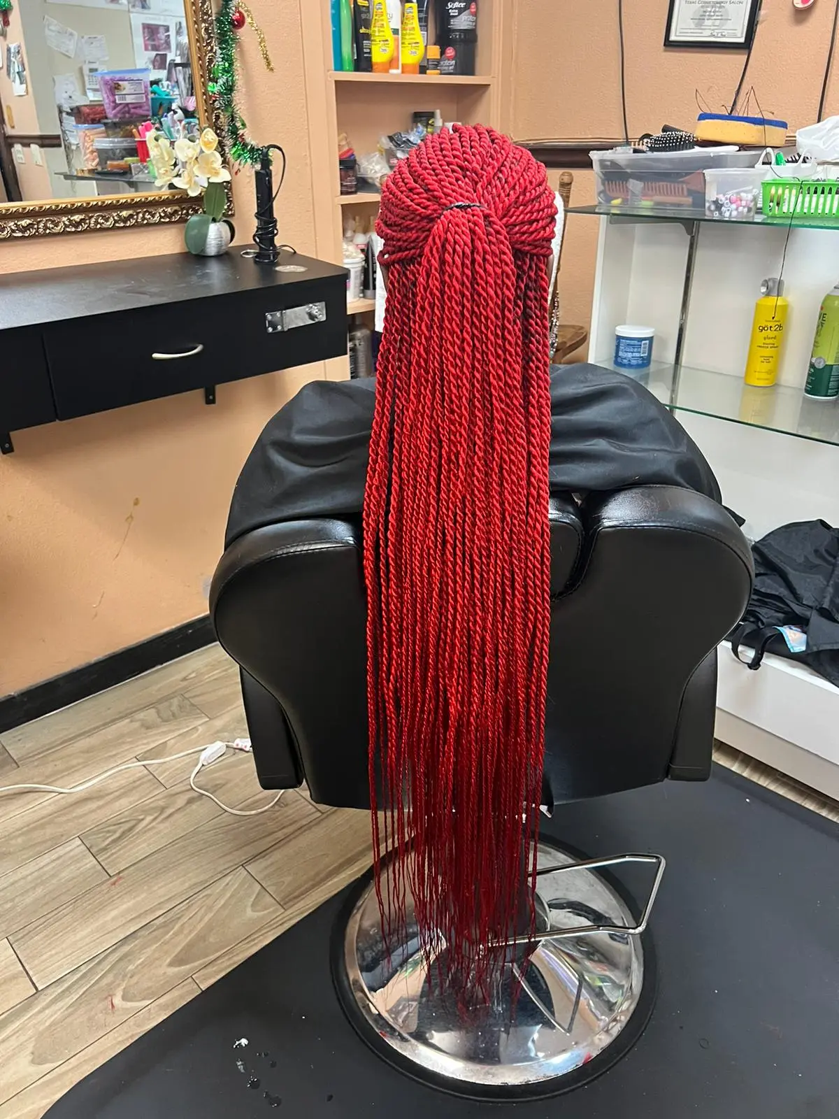 Braids and Locs Hair Style