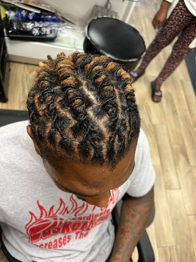 Draid Locs